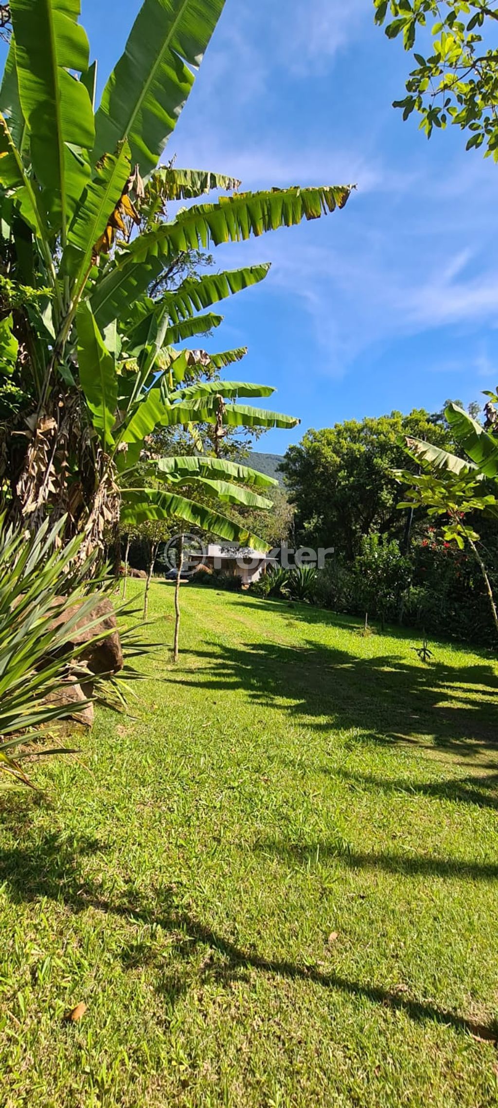 sitio chachara fazenda para comprar em Mundo Novo, Km 4 - foto 8