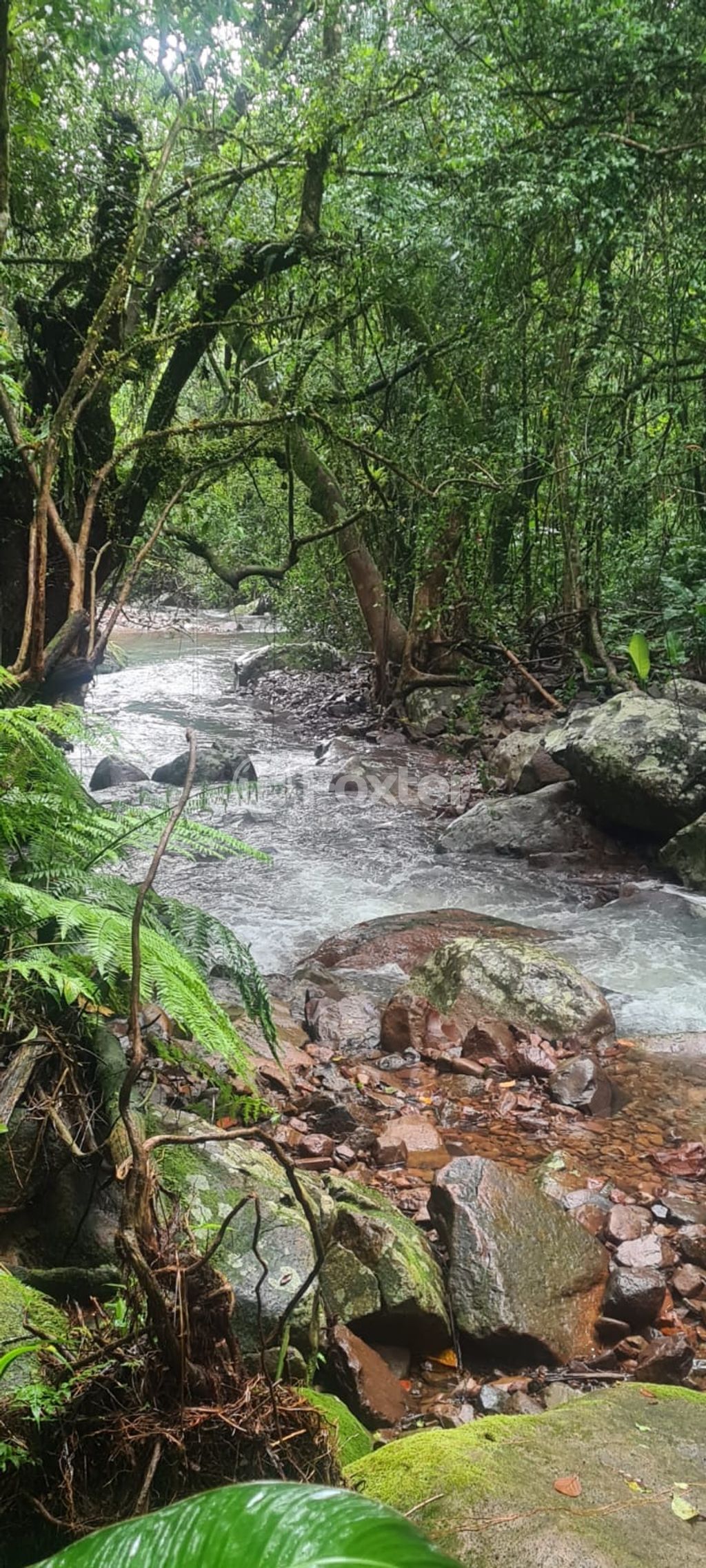 sitio chachara fazenda para comprar em Mundo Novo, Km 4 - foto 7