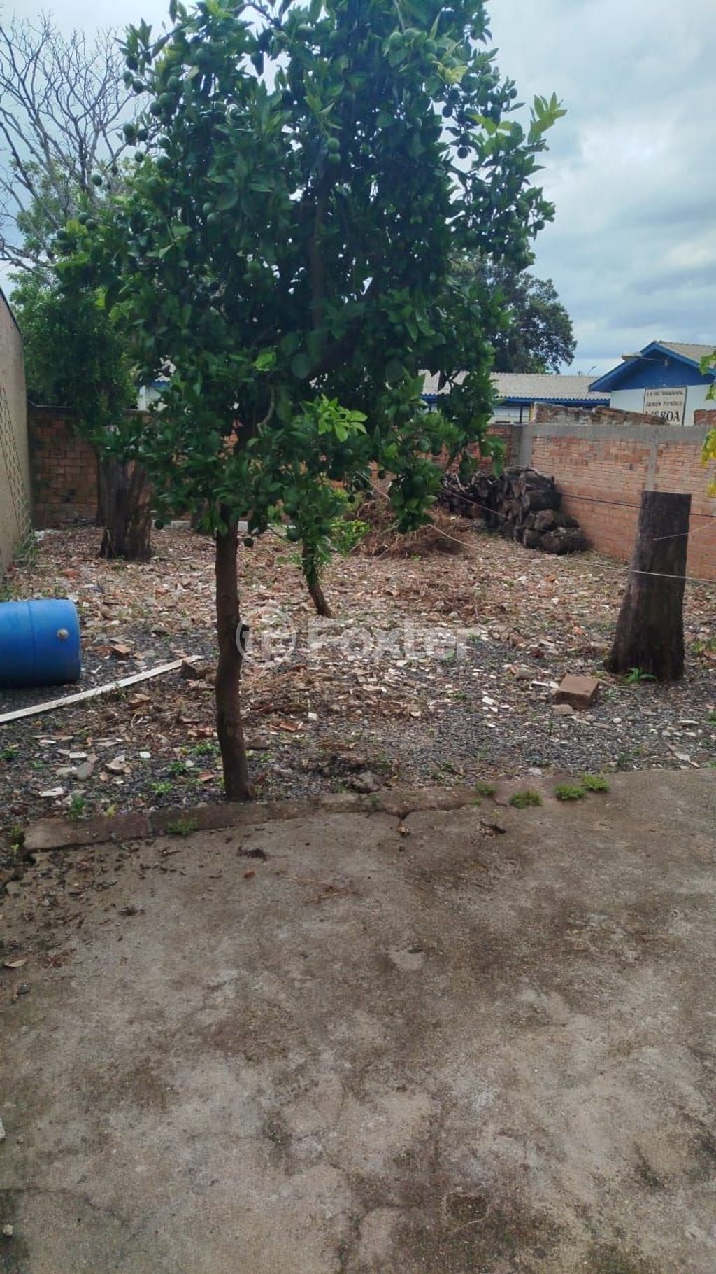 casa sobrado para comprar em Boa Vista, 991 - foto 3
