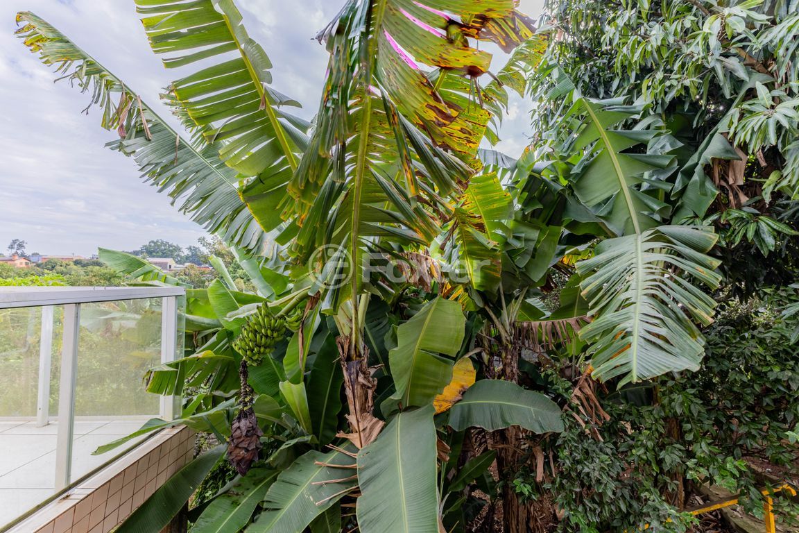 sitio chachara fazenda para comprar em Municipal, 291 - foto 4