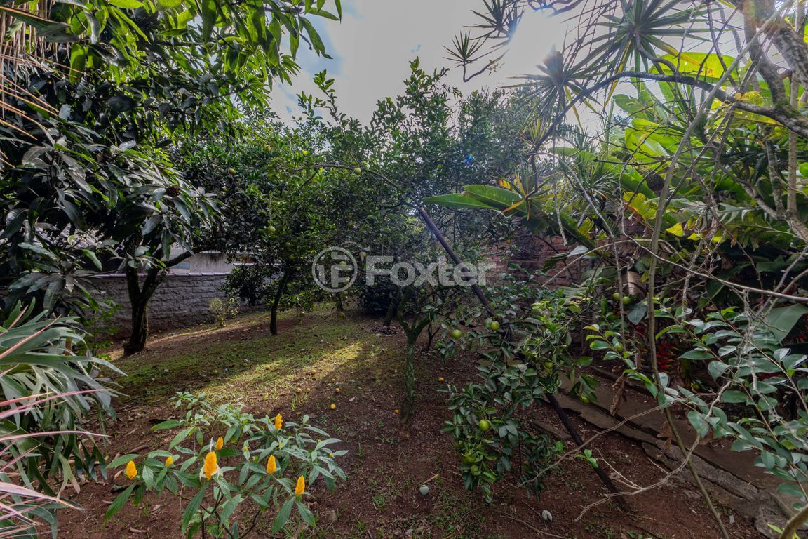 sitio chachara fazenda para comprar em Municipal, 291 - foto 53