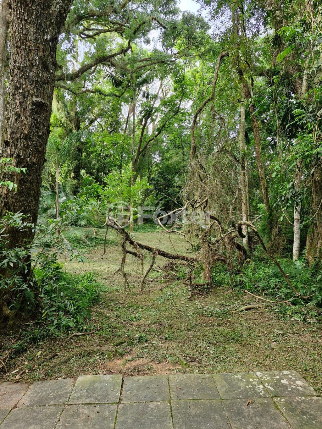 casa sobrado para comprar em Coronel Marcos, 800 - foto 10