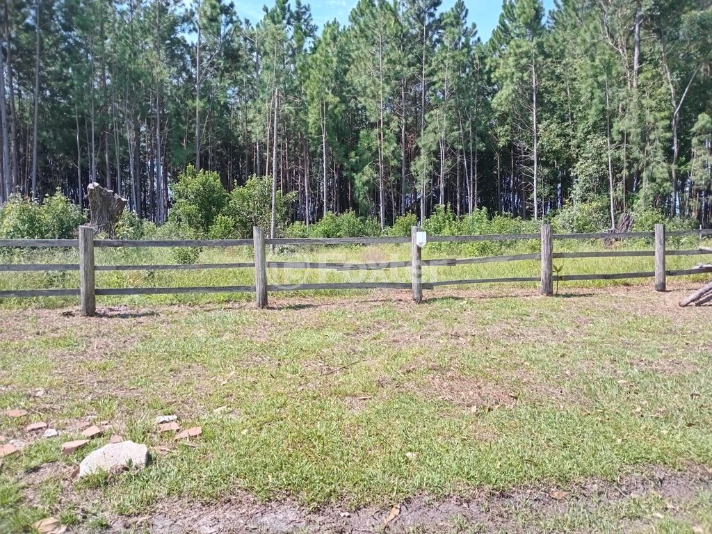 sitio chachara fazenda para comprar em Paraíba, 779 - foto 14
