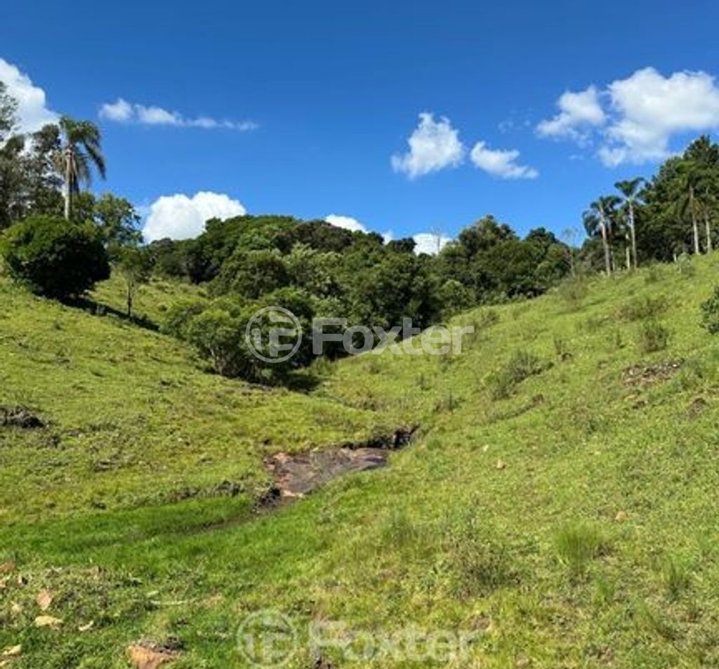 sitio chachara fazenda para comprar em R S, 20 - foto 7