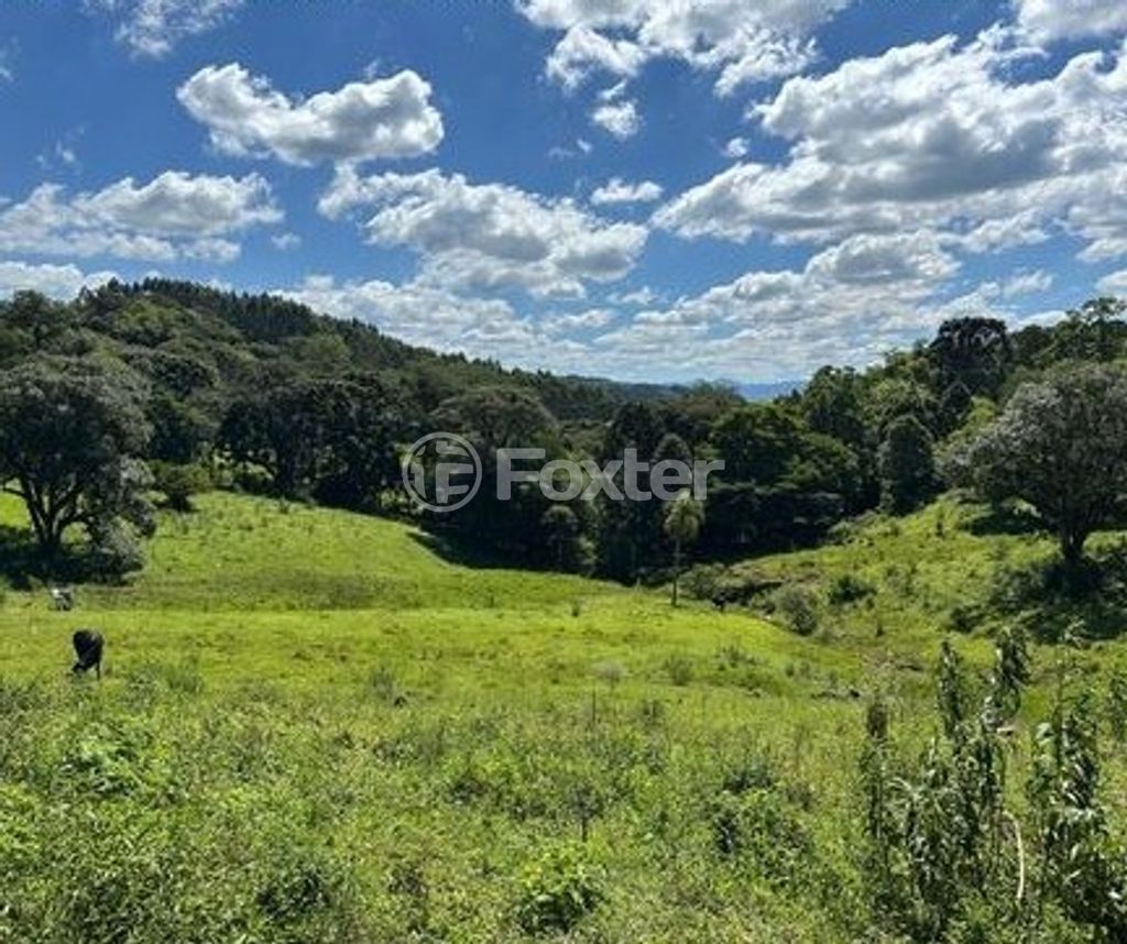 sitio chachara fazenda para comprar em R S, 20 - foto 6