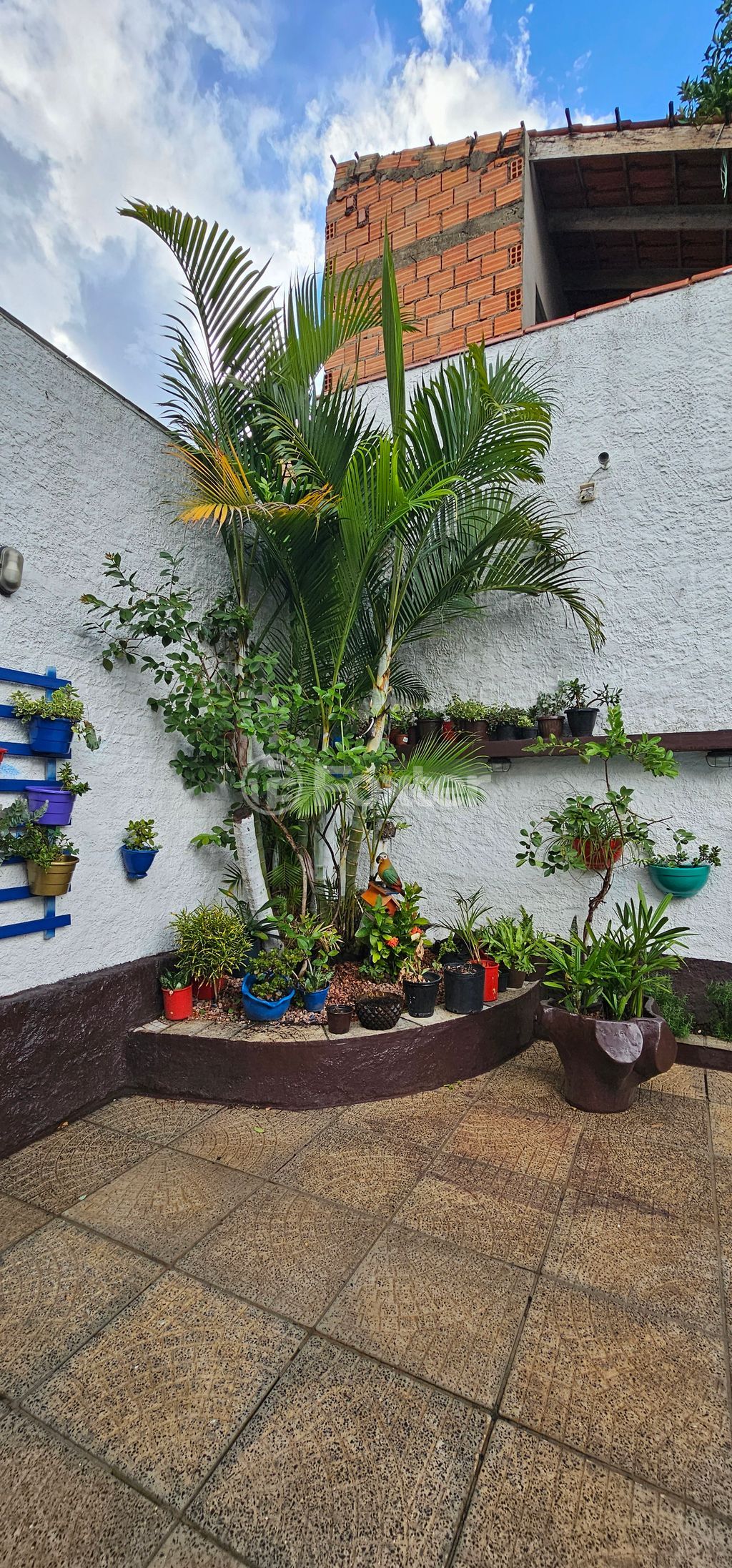 casa sobrado para comprar em Tenente Eugênio Duarte, 833 - foto 53