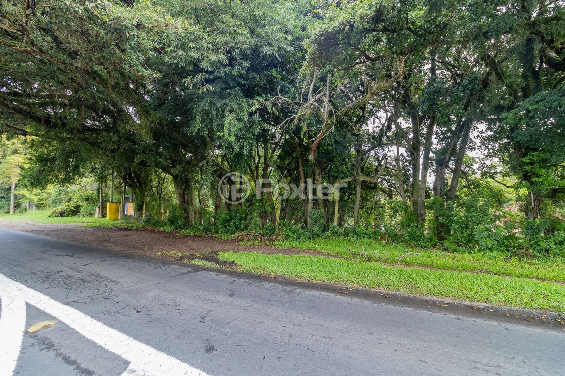 terreno lote condominio para comprar em da Cavalhada, 5583 - foto 21