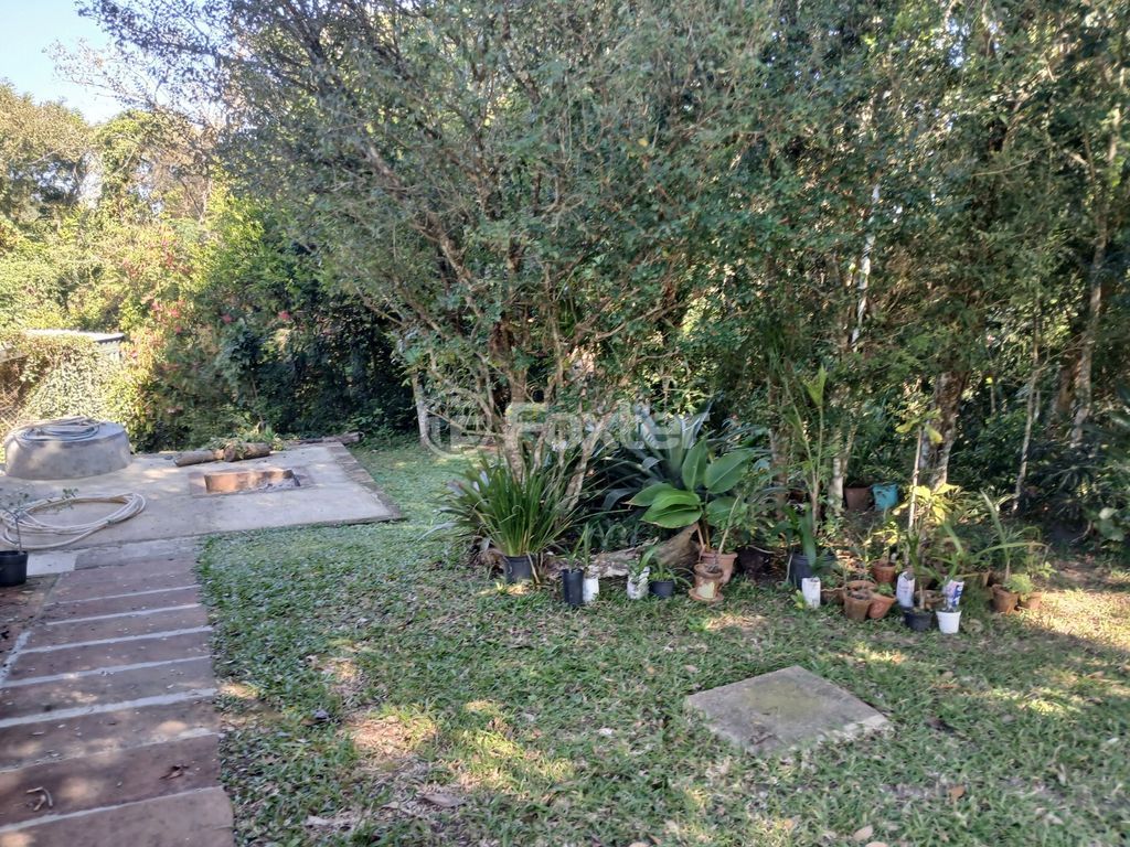 sitio chachara fazenda para comprar em João-de-Barro, 360 - foto 17