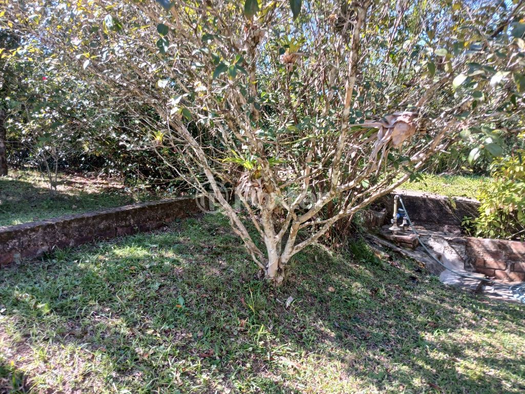 sitio chachara fazenda para comprar em João-de-Barro, 360 - foto 19