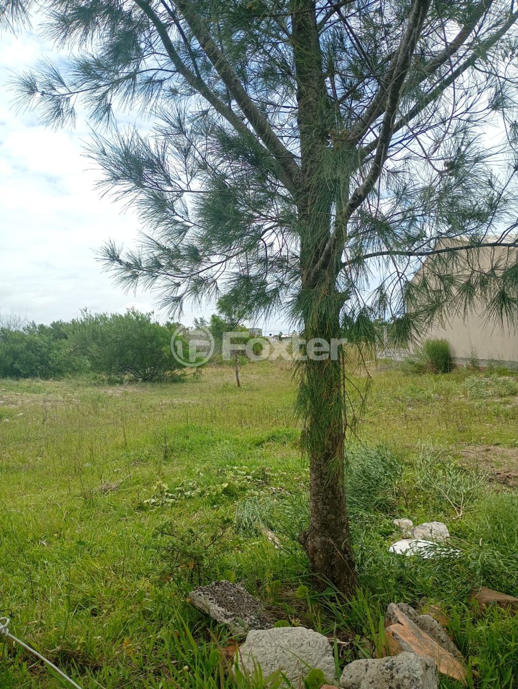 terreno lote condominio para comprar em Deputado José Antônio Daudt, 1552 - foto 6