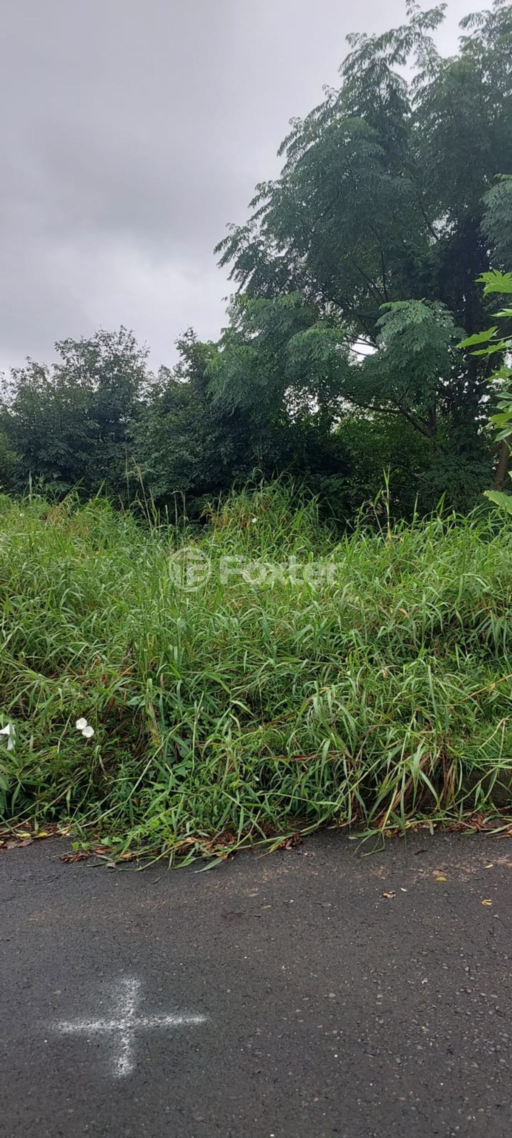 terreno lote condominio para comprar em Liberal, 48 - foto 11