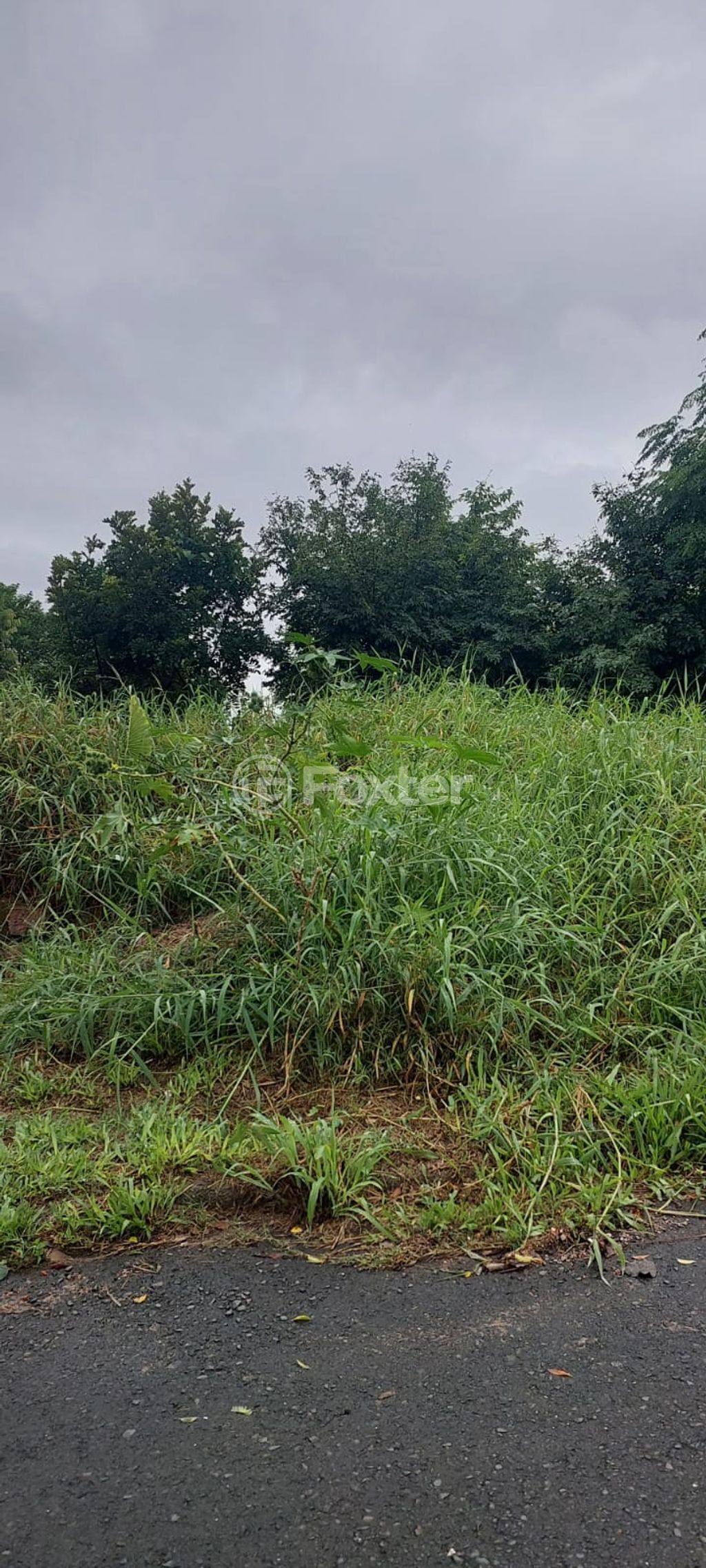 terreno lote condominio para comprar em Liberal, 48 - foto 7