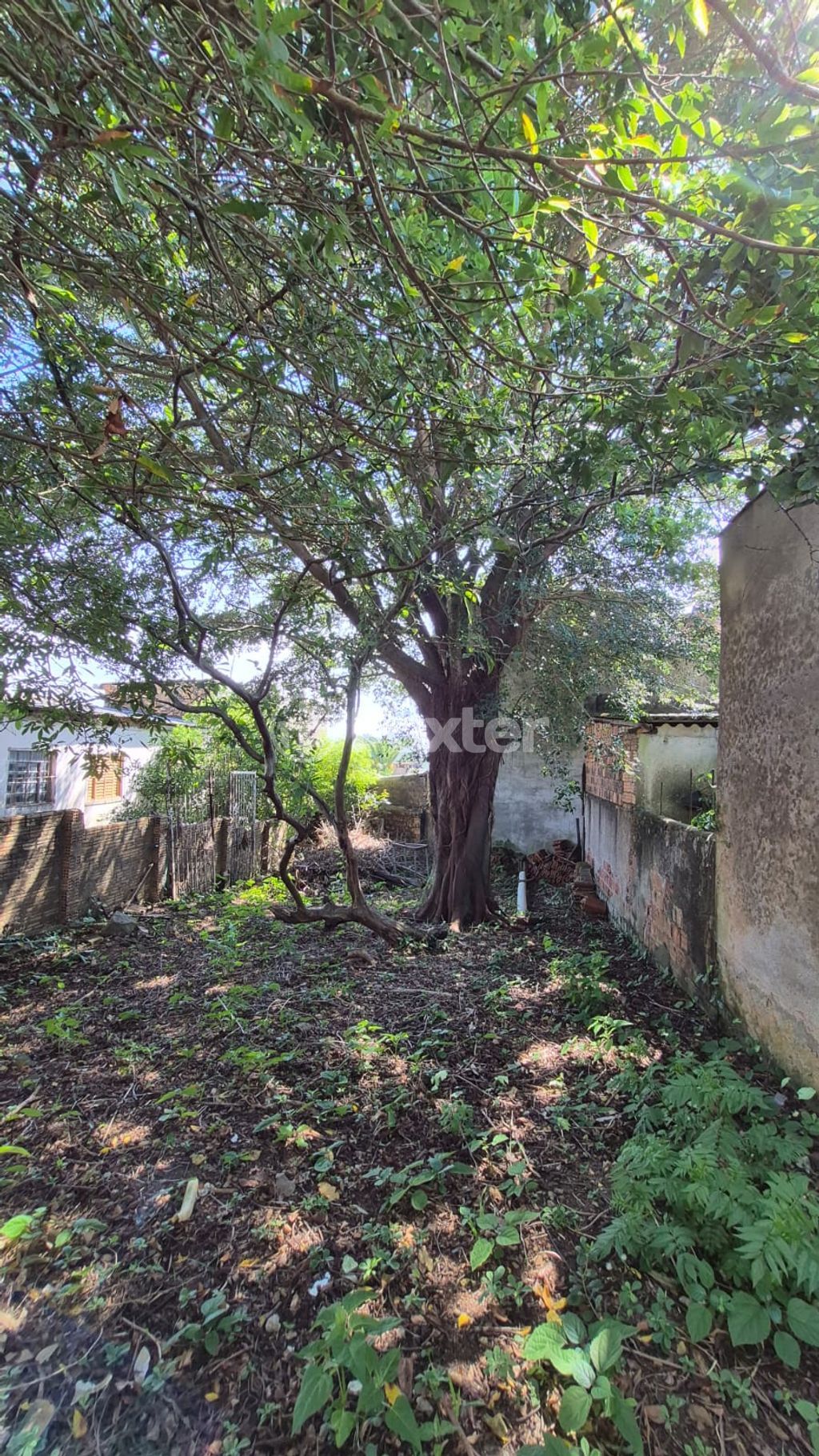 casa sobrado para comprar em General Salvador Pinheiro, 250 - foto 13