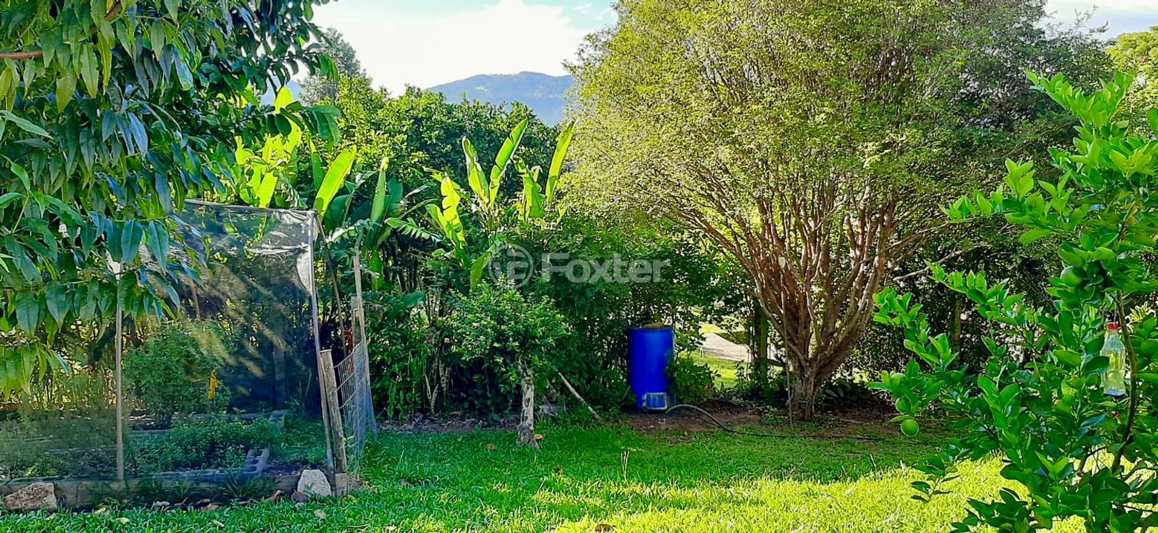 casa sobrado para comprar em Affonso Strack, 280 - foto 44