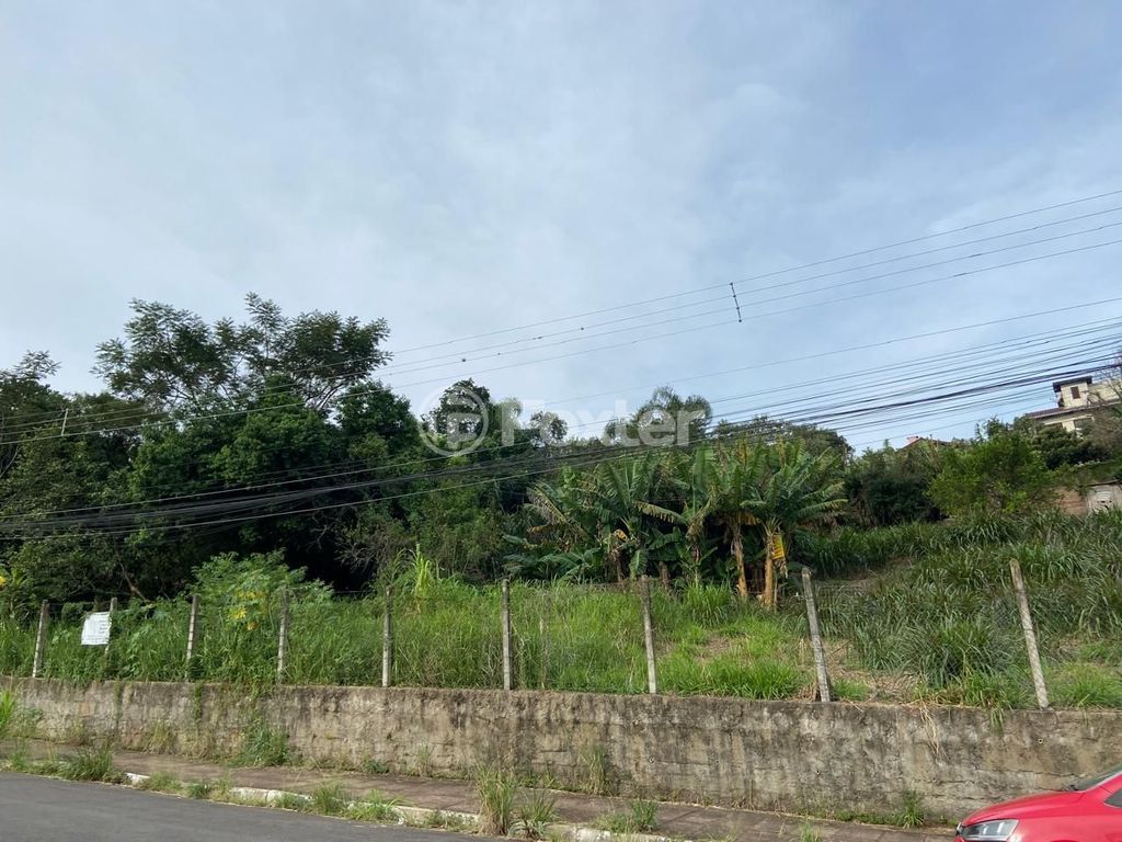 terreno lote condominio para comprar em Júlio Birck, 715 - foto 8