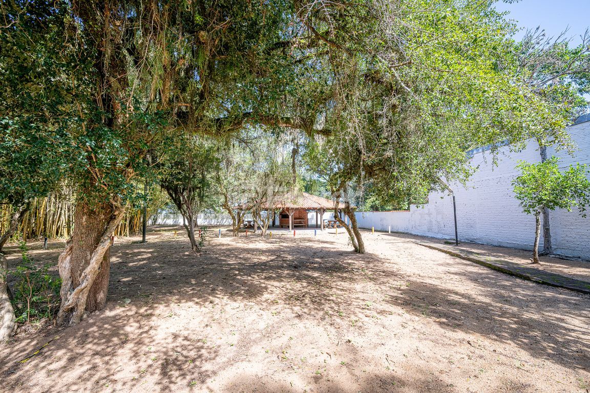 sitio chachara fazenda para comprar em Heitor Vieira, 1193 - foto 69