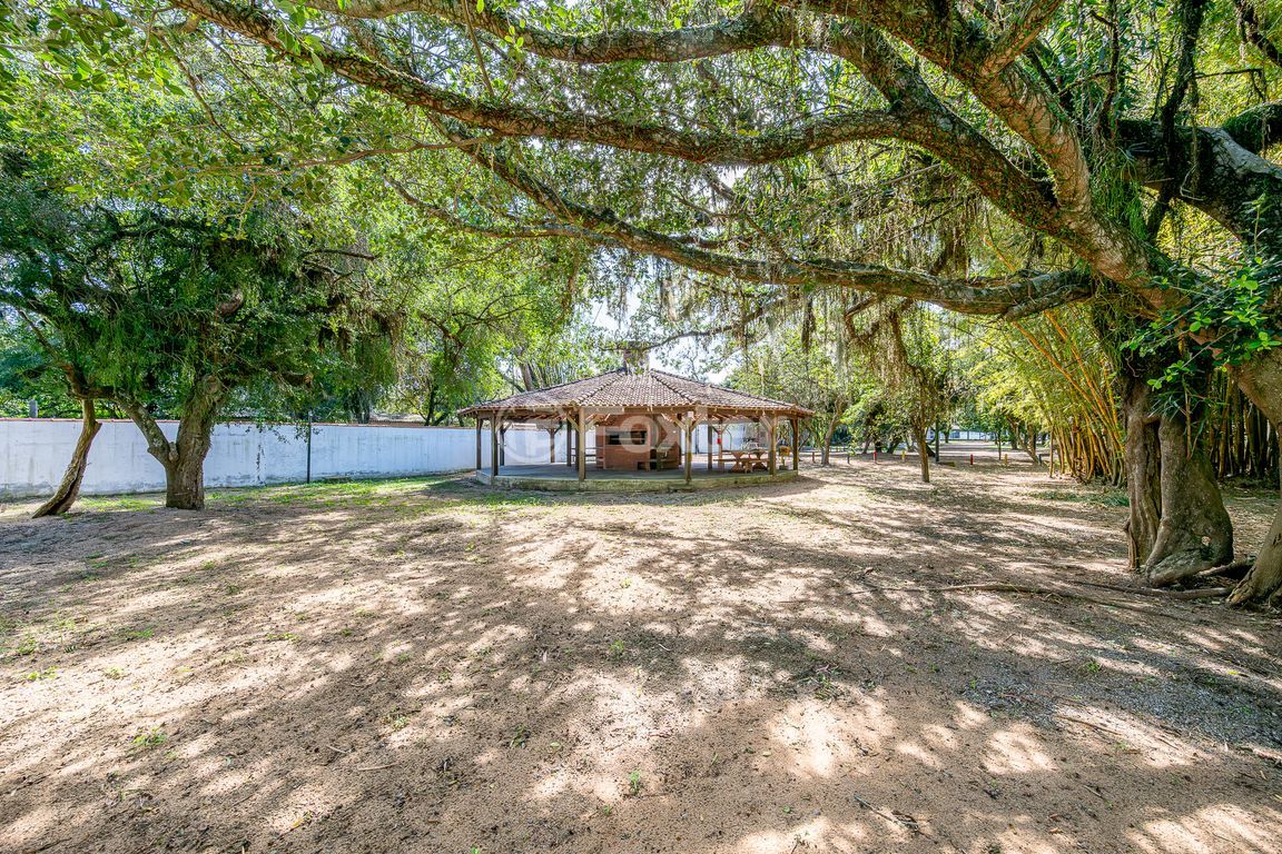 sitio chachara fazenda para comprar em Heitor Vieira, 1193 - foto 78