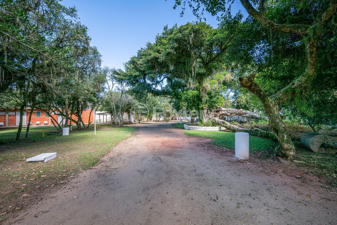 sitio chachara fazenda para comprar em Heitor Vieira, 1193 - foto 63