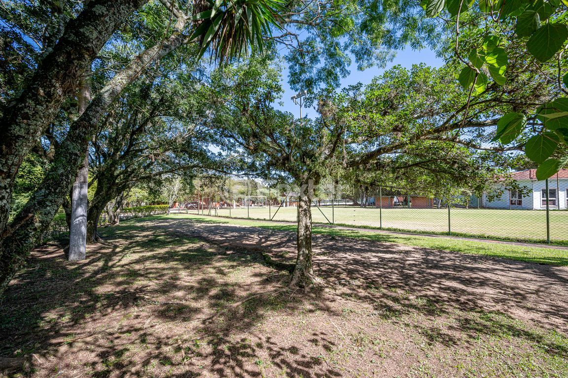 sitio chachara fazenda para comprar em Heitor Vieira, 1193 - foto 7