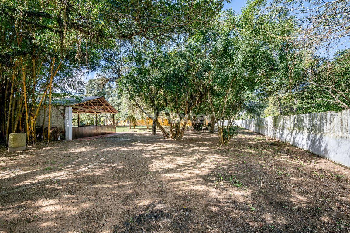sitio chachara fazenda para comprar em Heitor Vieira, 1193 - foto 79