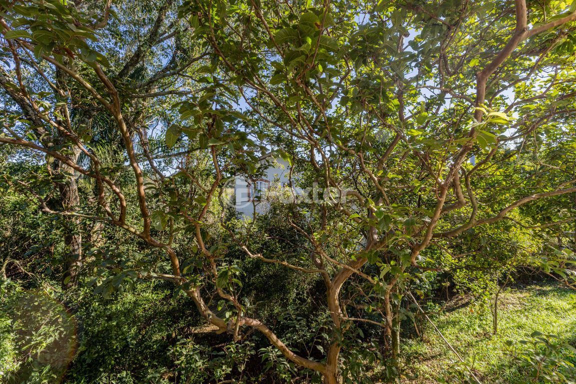 Casa em condominio para comprar em Pitangueiras, 88 - foto 35