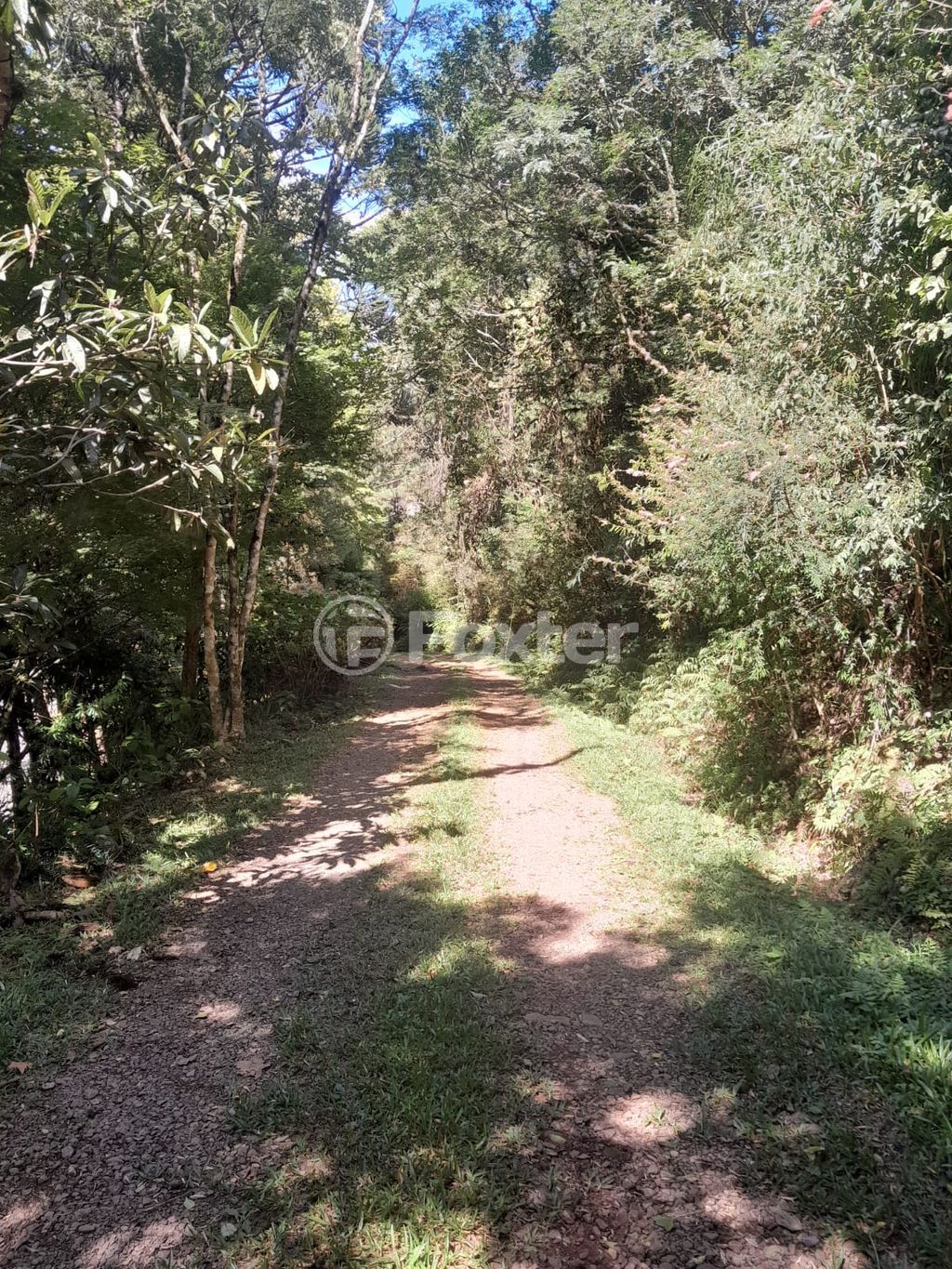 sitio chachara fazenda para comprar em Rural, 1836 - foto 12