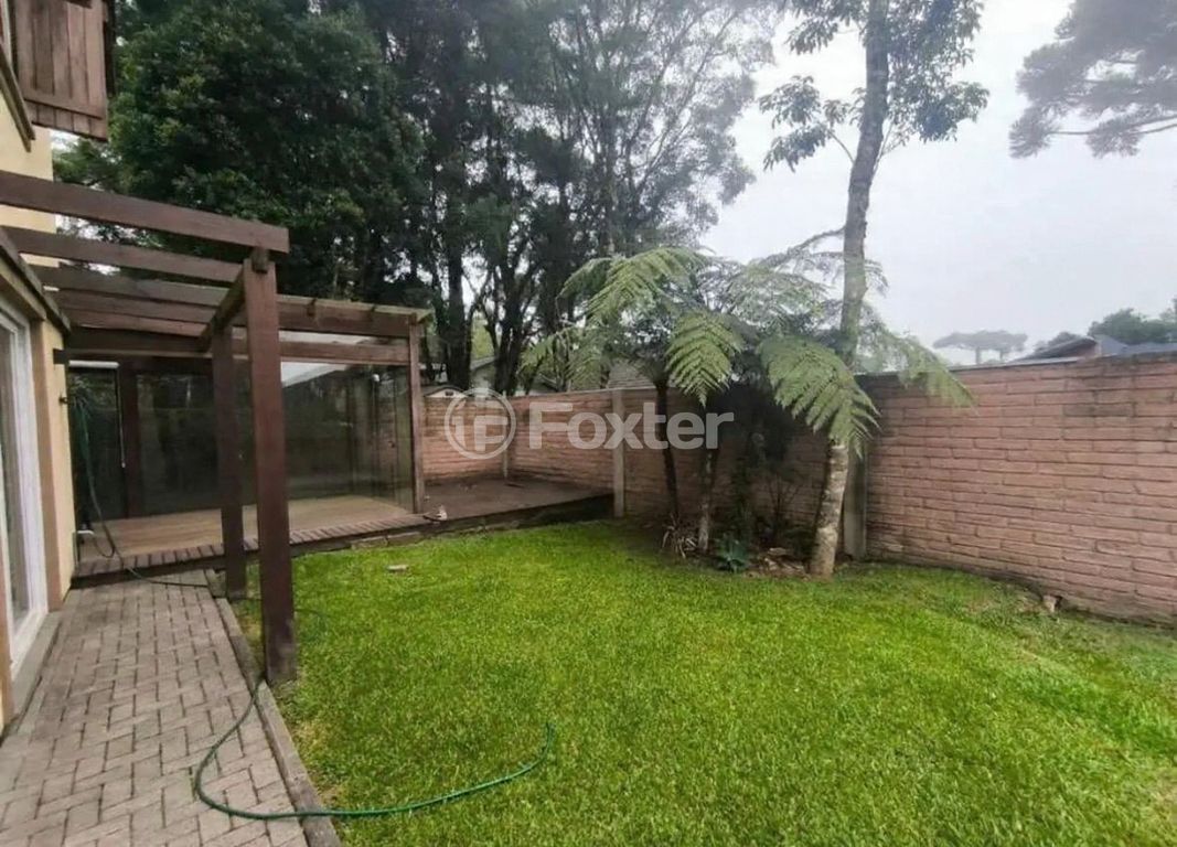 Foto do Anuncio