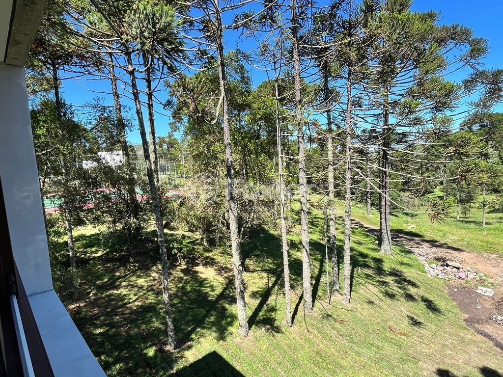 Foto do Anuncio