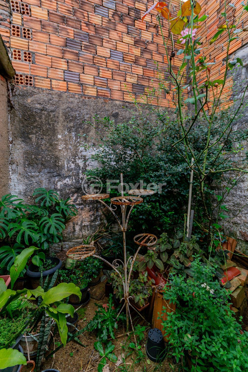 Foto do Anuncio