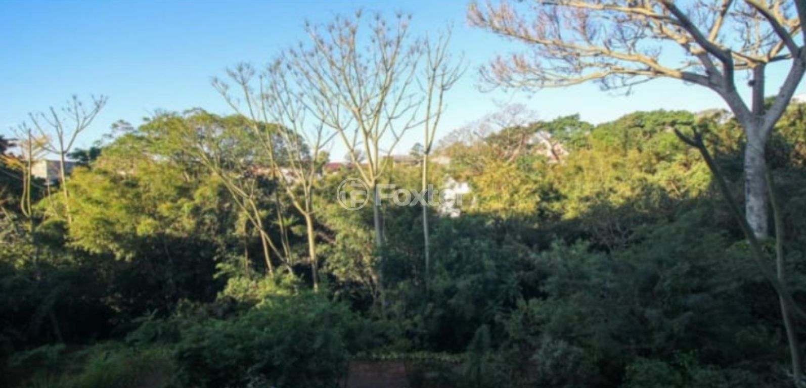 Foto do Anuncio