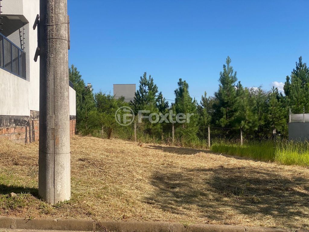 terreno lote condominio para comprar em Doutor Sérgio de Figueiredo, 160 - foto 6