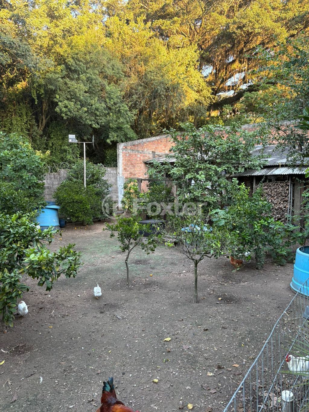 casa sobrado para comprar em João de Oliveira Remião, 702 - foto 9