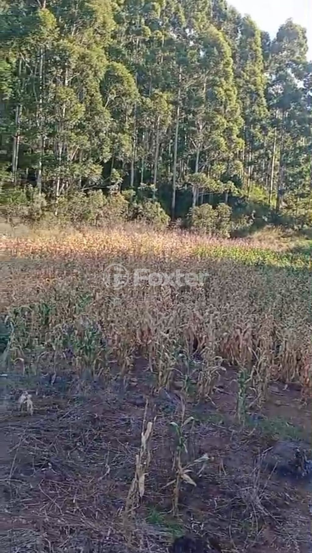Foto 0