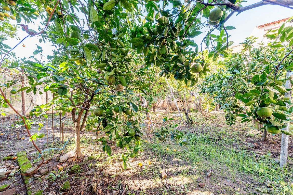 casa sobrado para comprar em Visconde do Herval, 1238 - foto 68