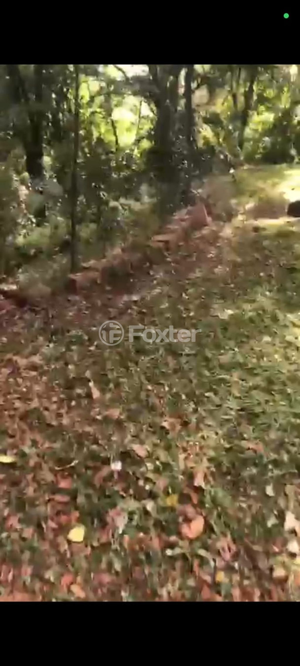 Foto 0