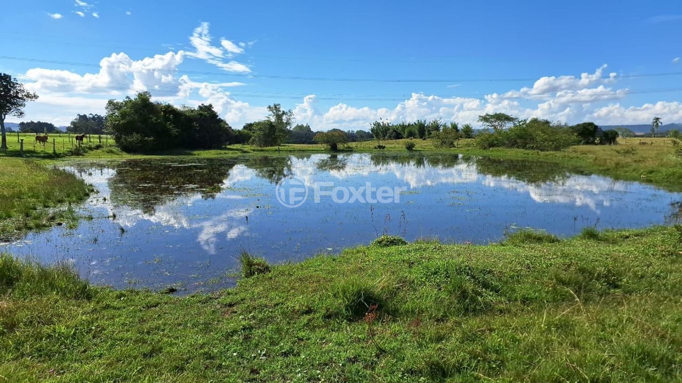 sitio chachara fazenda para comprar em Ozi Costa, 2120 - foto 19