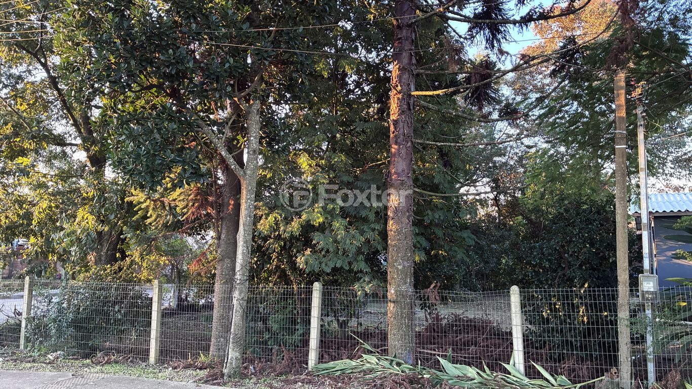 casa sobrado para comprar em Vilela Tavares, 78 - foto 32