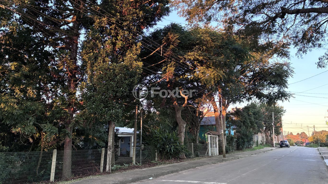 casa sobrado para comprar em Vilela Tavares, 78 - foto 34