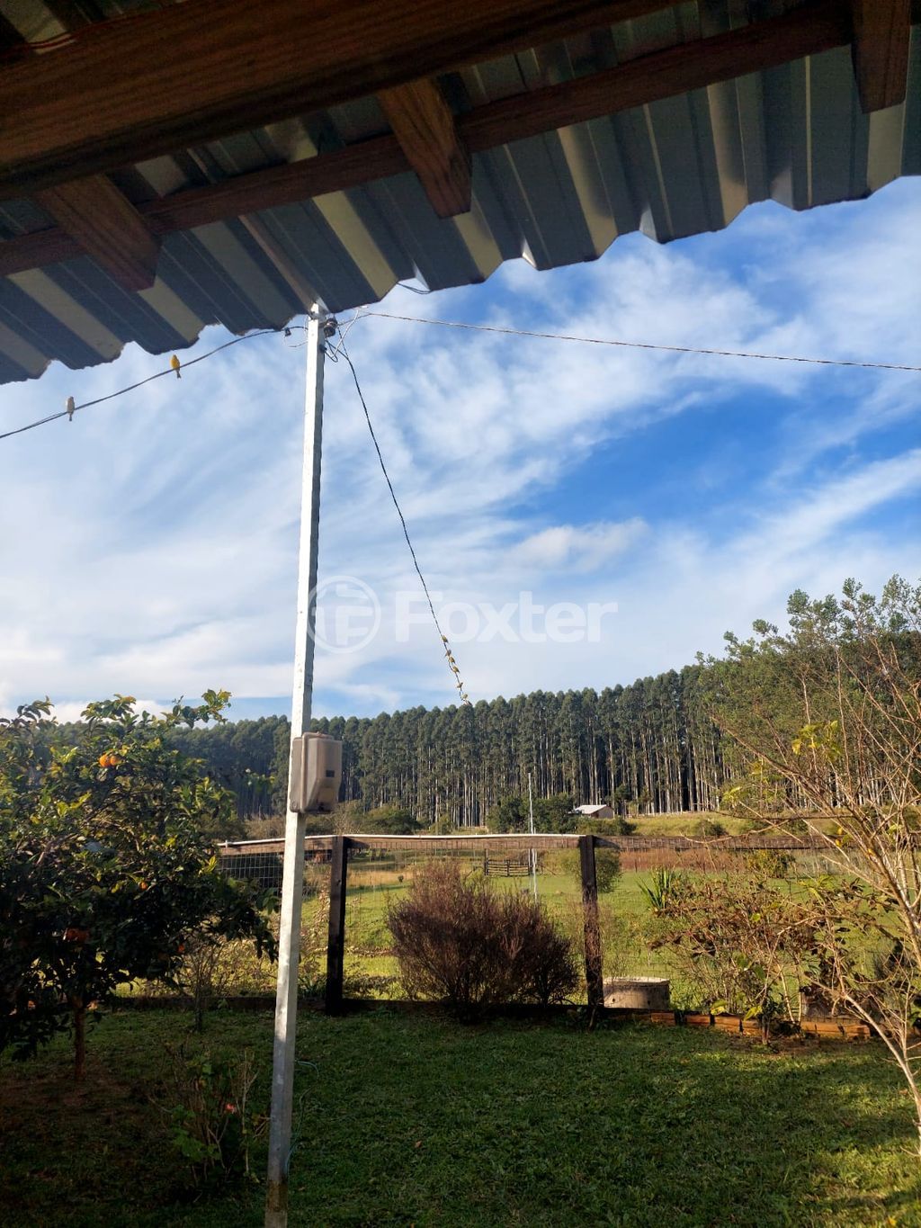 sitio chachara fazenda para comprar em Matias, 1300 - foto 13