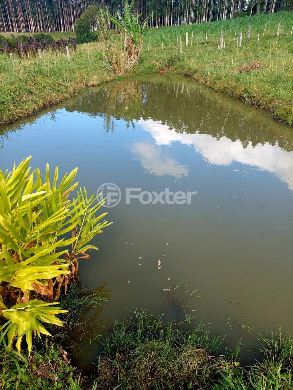 Foto do Anuncio
