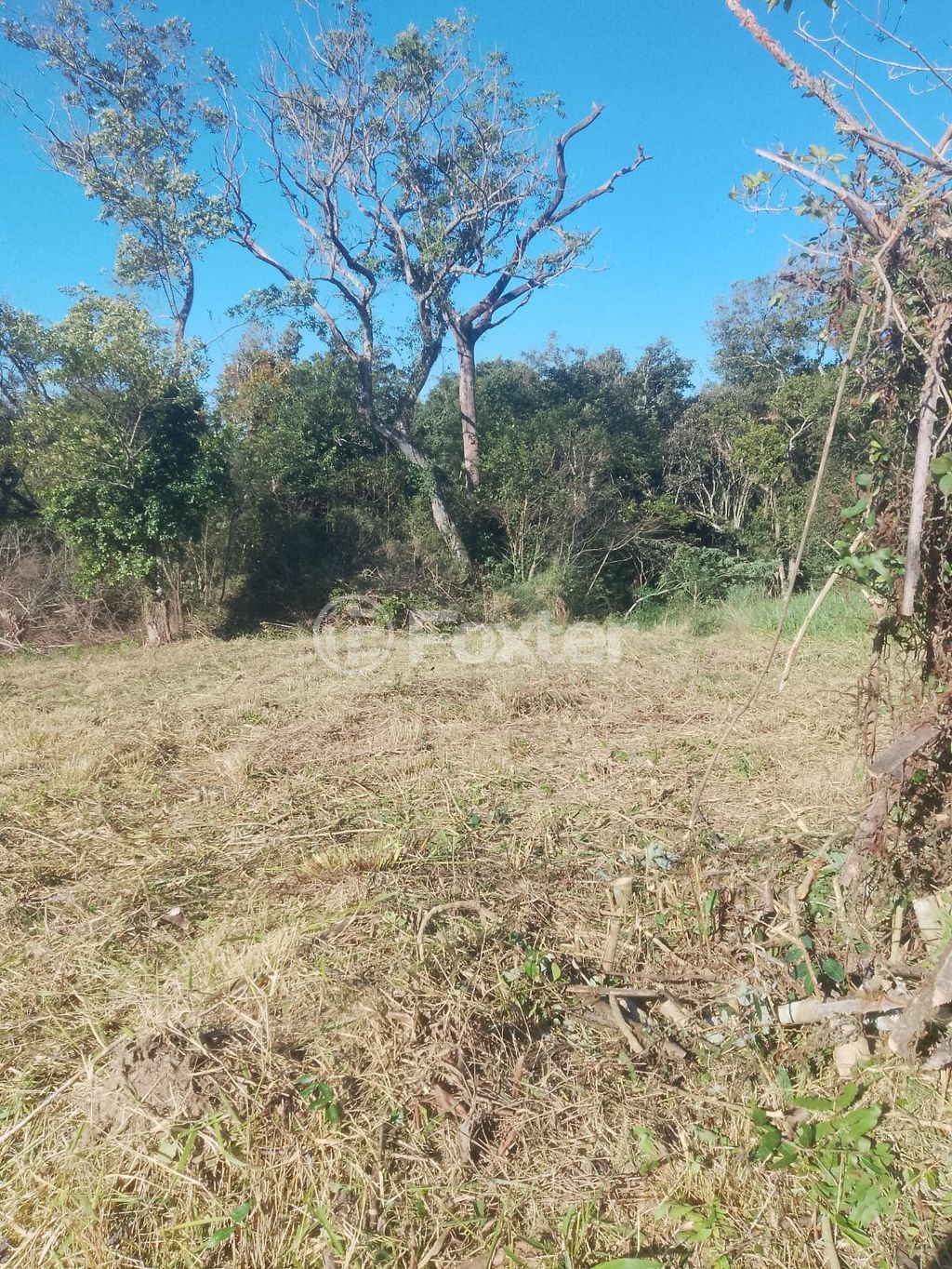 Foto do Anuncio