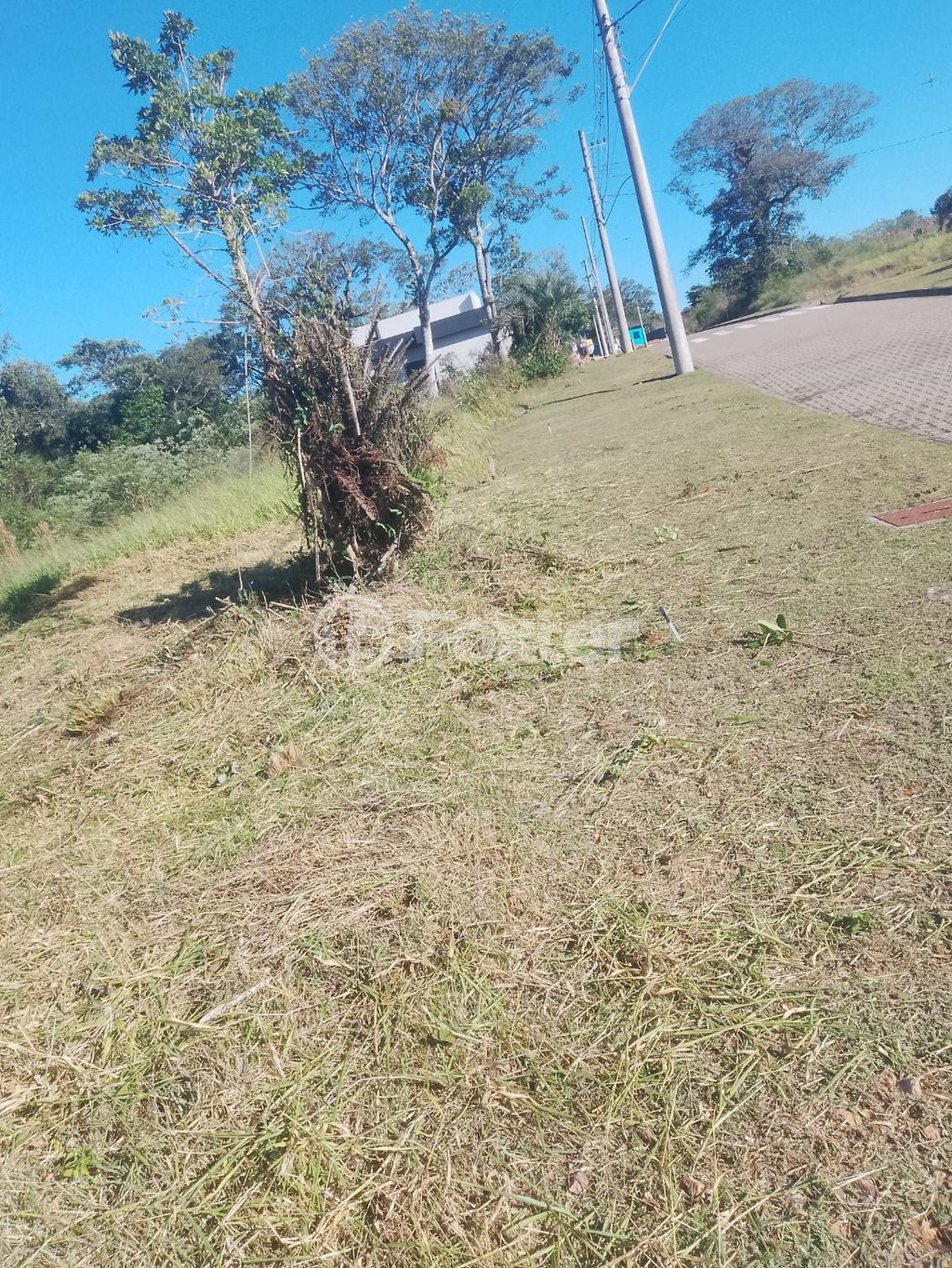 terreno lote condominio para comprar em Senador Salgado Filho, 5687 - foto 15