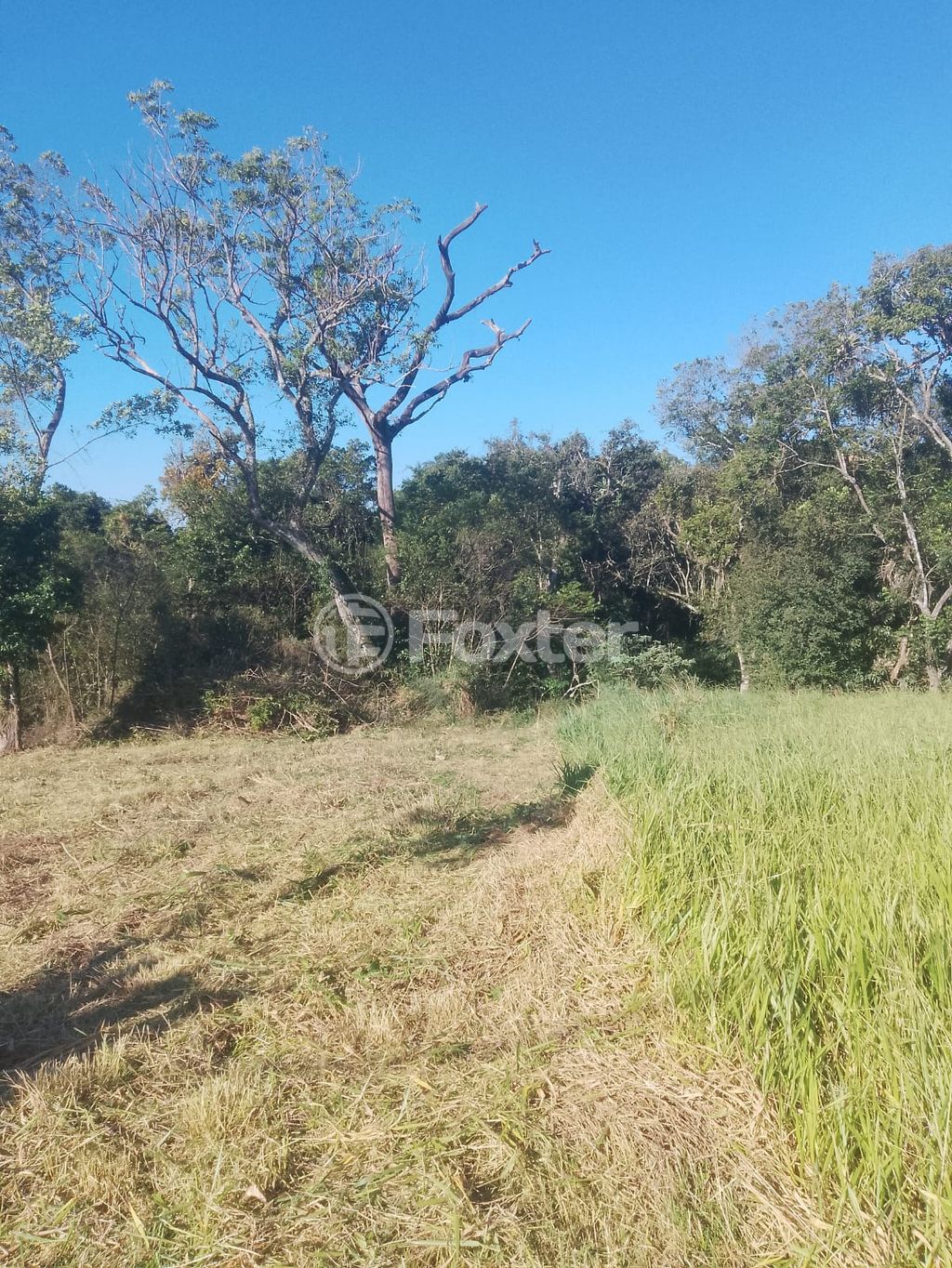 terreno lote condominio para comprar em Senador Salgado Filho, 5687 - foto 17
