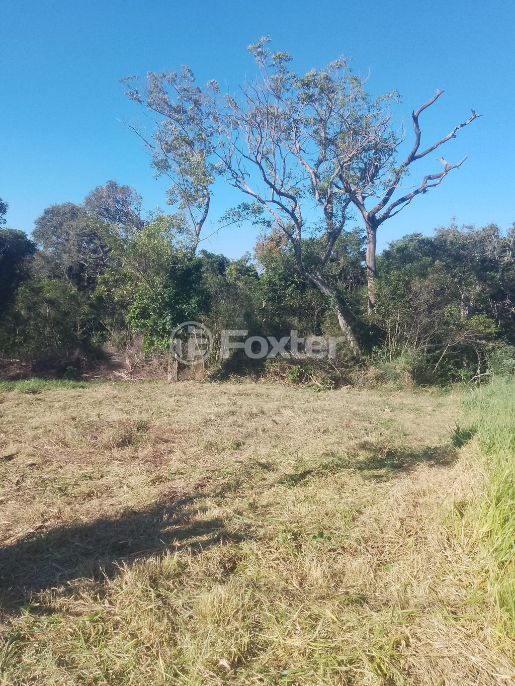 terreno lote condominio para comprar em Senador Salgado Filho, 5687 - foto 14