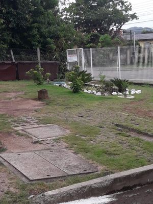 Image 7 - 11160
