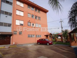 Image 6 - 243185