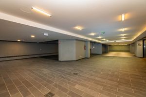 Image 40 - 11788