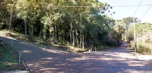 Image 49 - 608464
