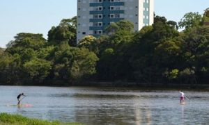 Image 6 - 11881
