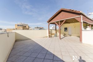 Image 41 - 875161